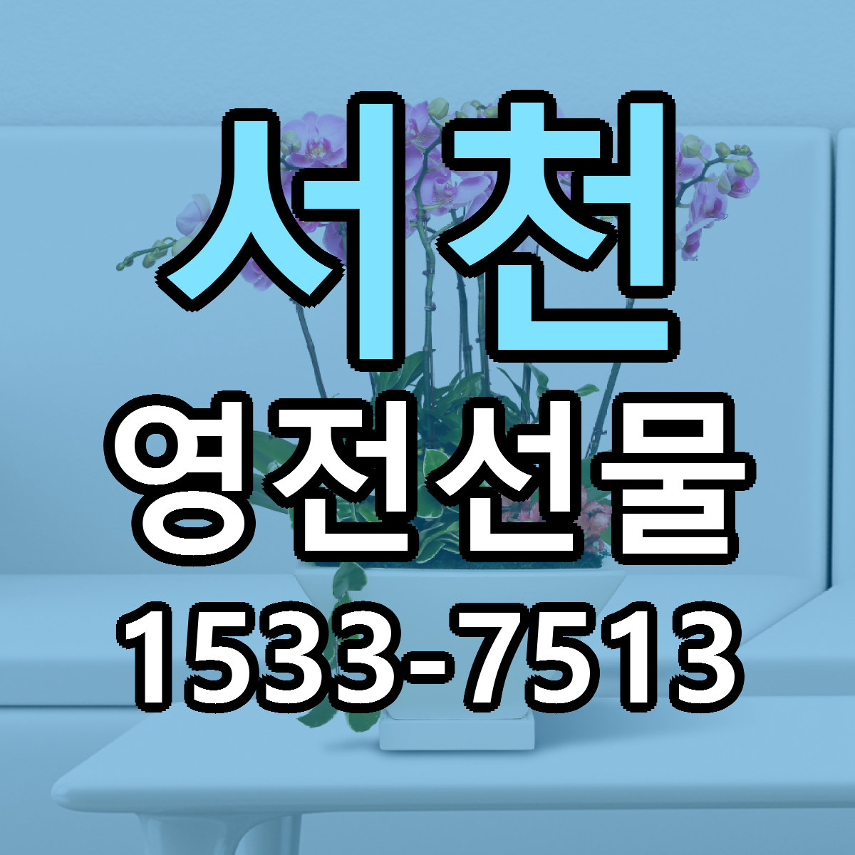 서천 영전선물 빠른배송 저렴한곳 가격 정리