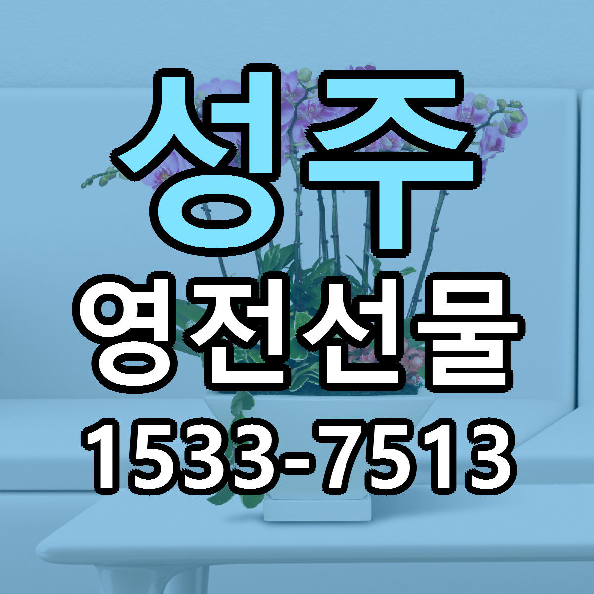 성주 영전선물 근처꽃집 당일배송 싼곳 추천