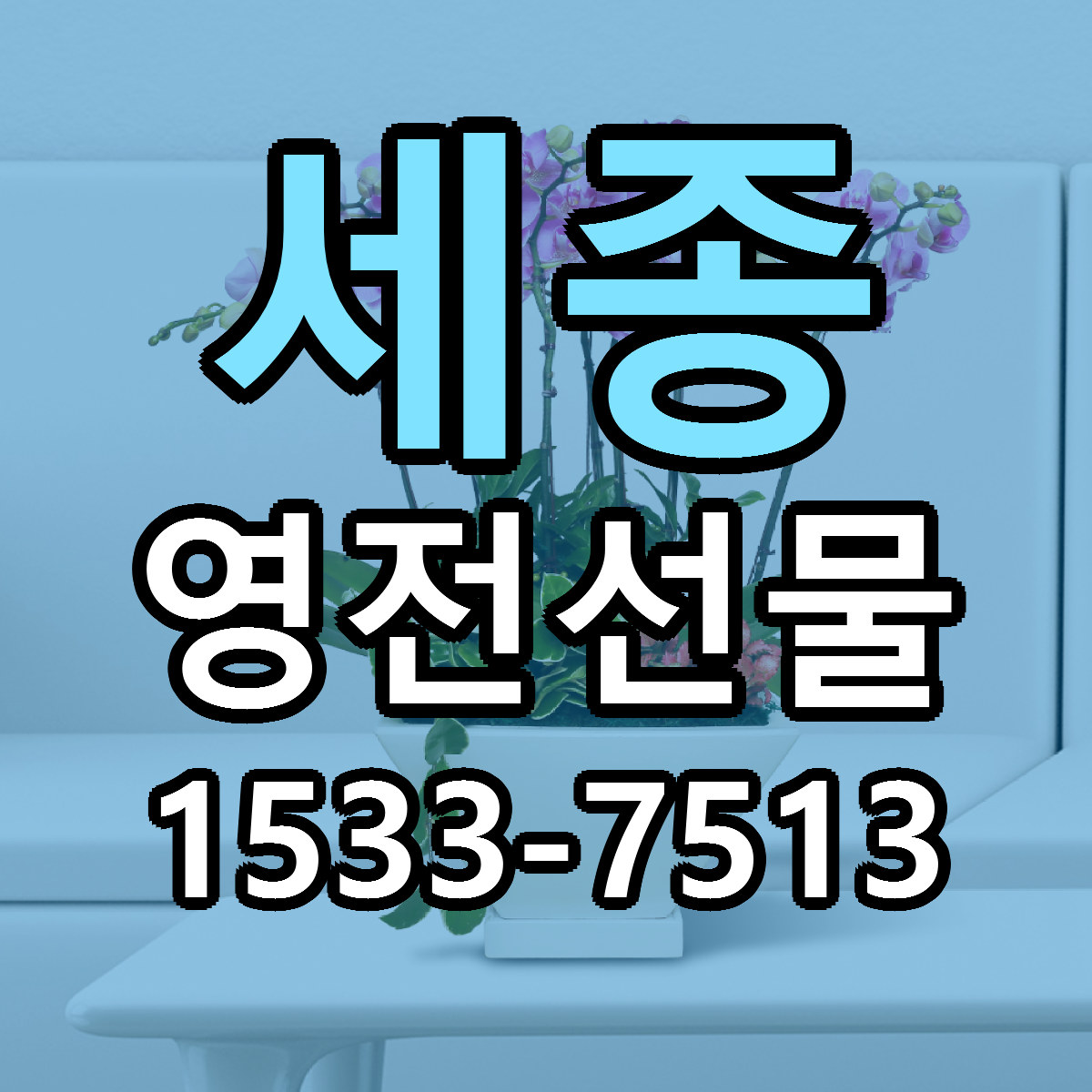 세종 영전선물 근처꽃집 당일배송 리본문구 서비스