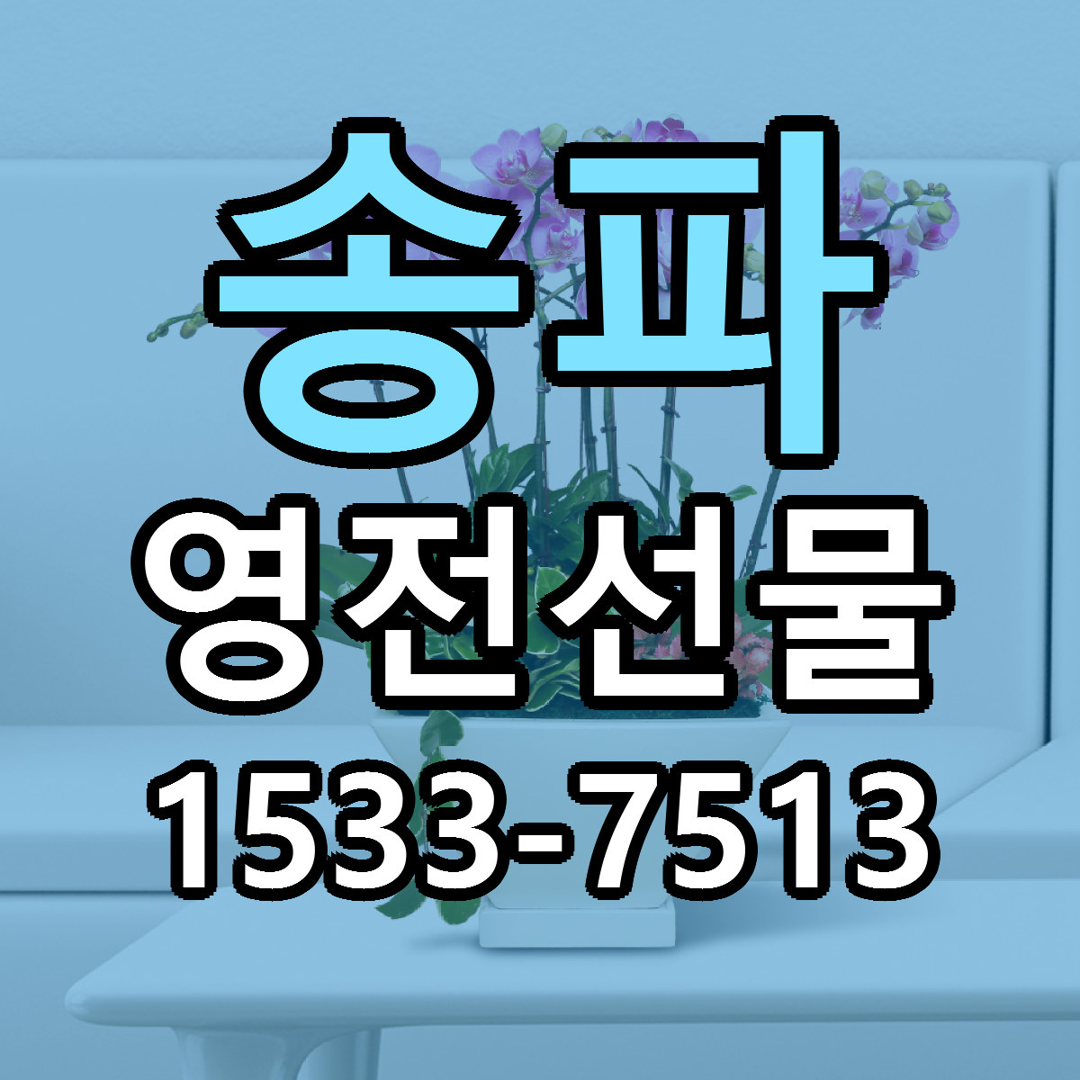 송파 영전선물 당일배송 저렴한곳 리본문구 추천