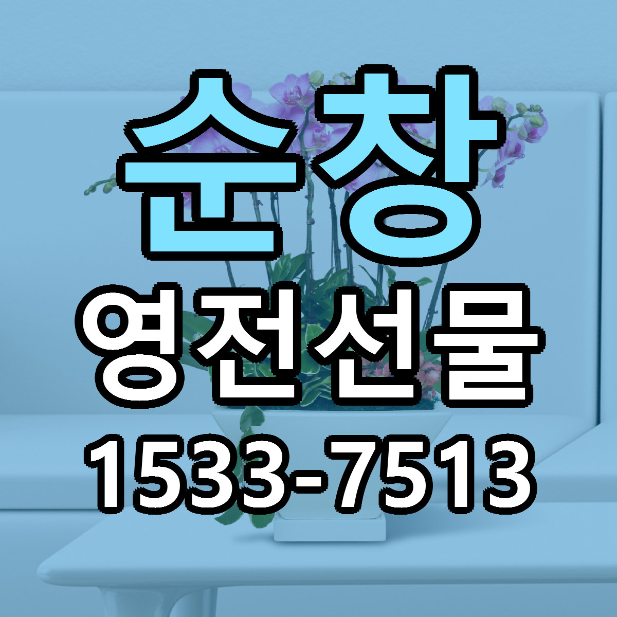 순창 영전선물 당일배송 저렴한곳 리본문구 추천