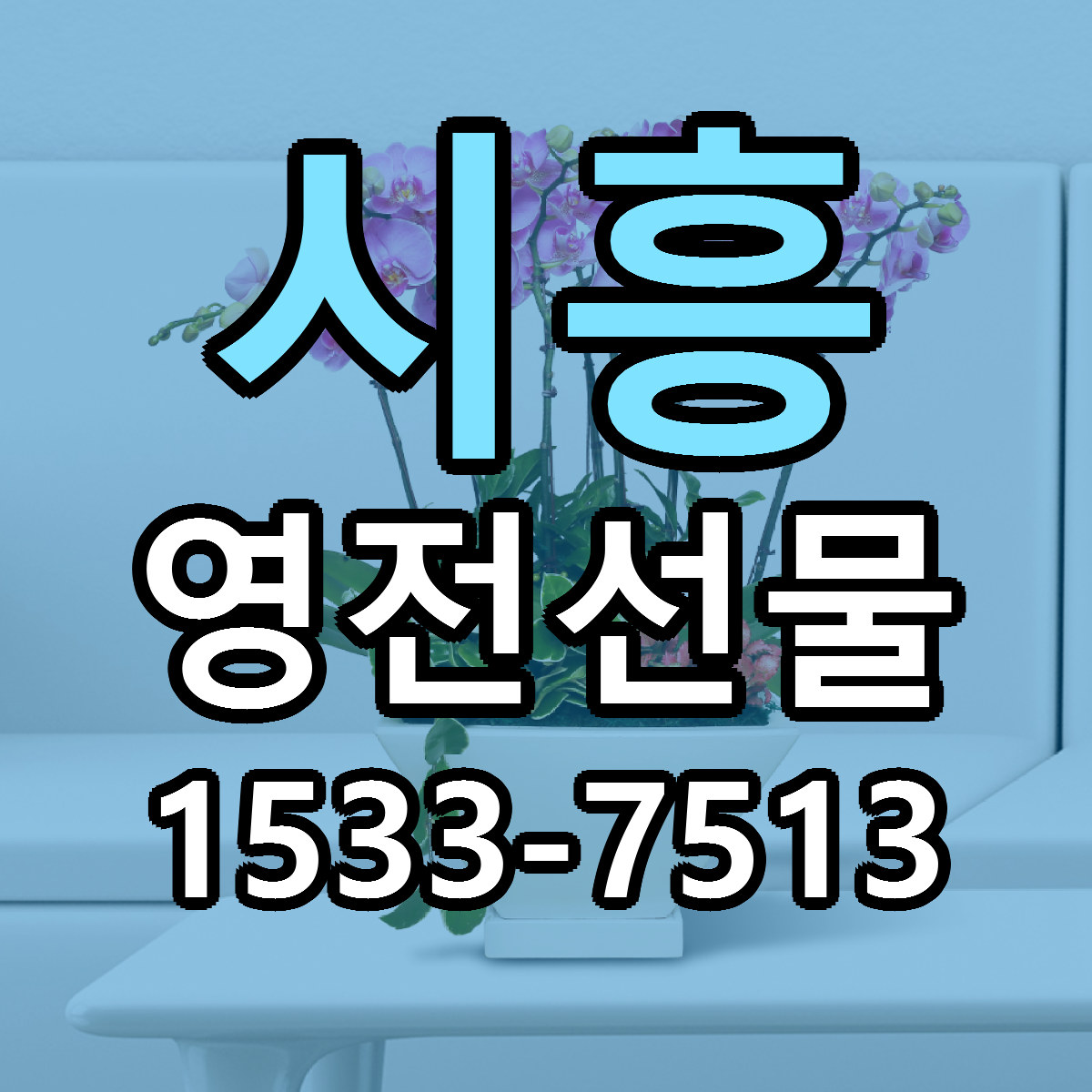 시흥 영전선물 당일배송 근처꽃집 싼곳 비교