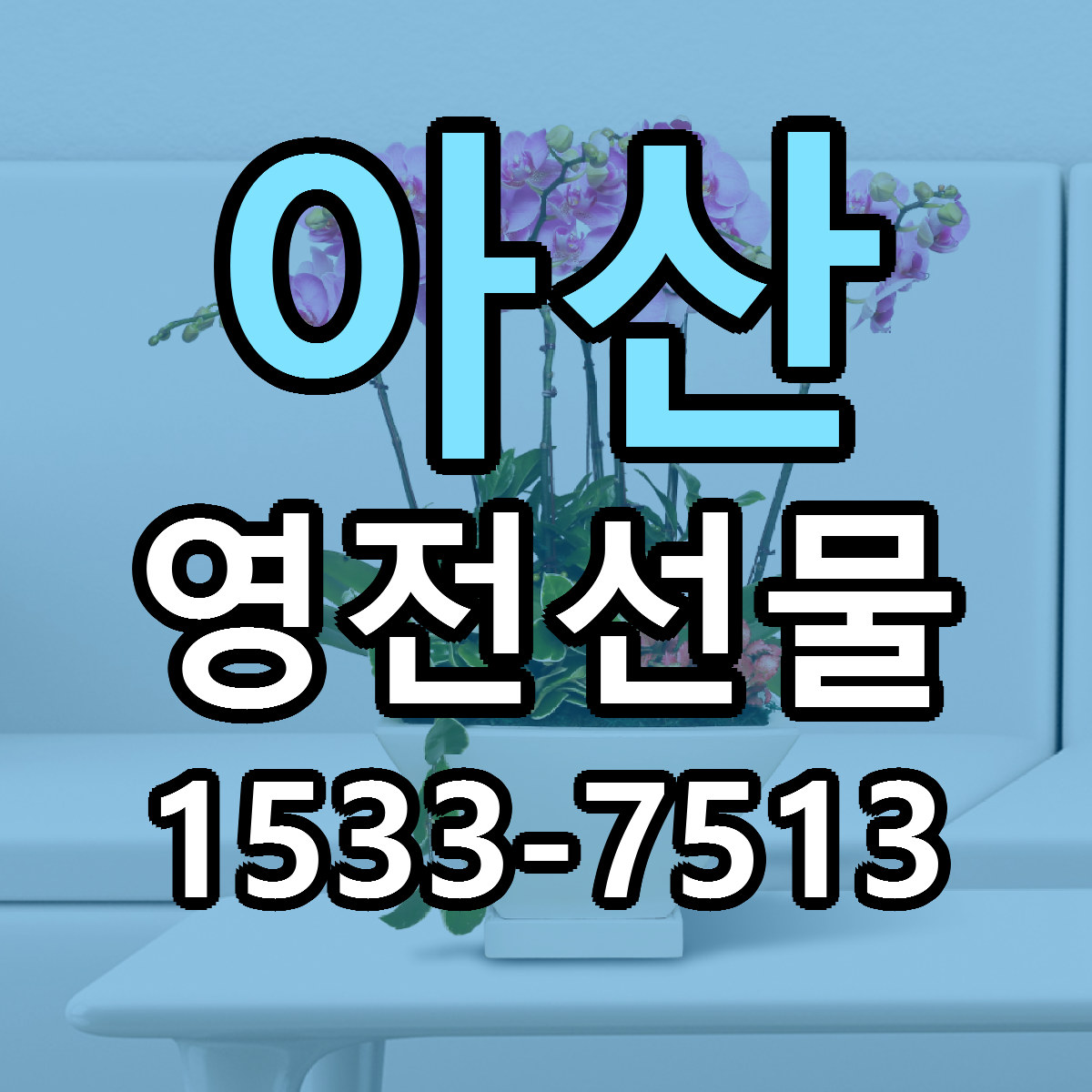 아산 영전선물 빠른배송 싼곳 가격 문의