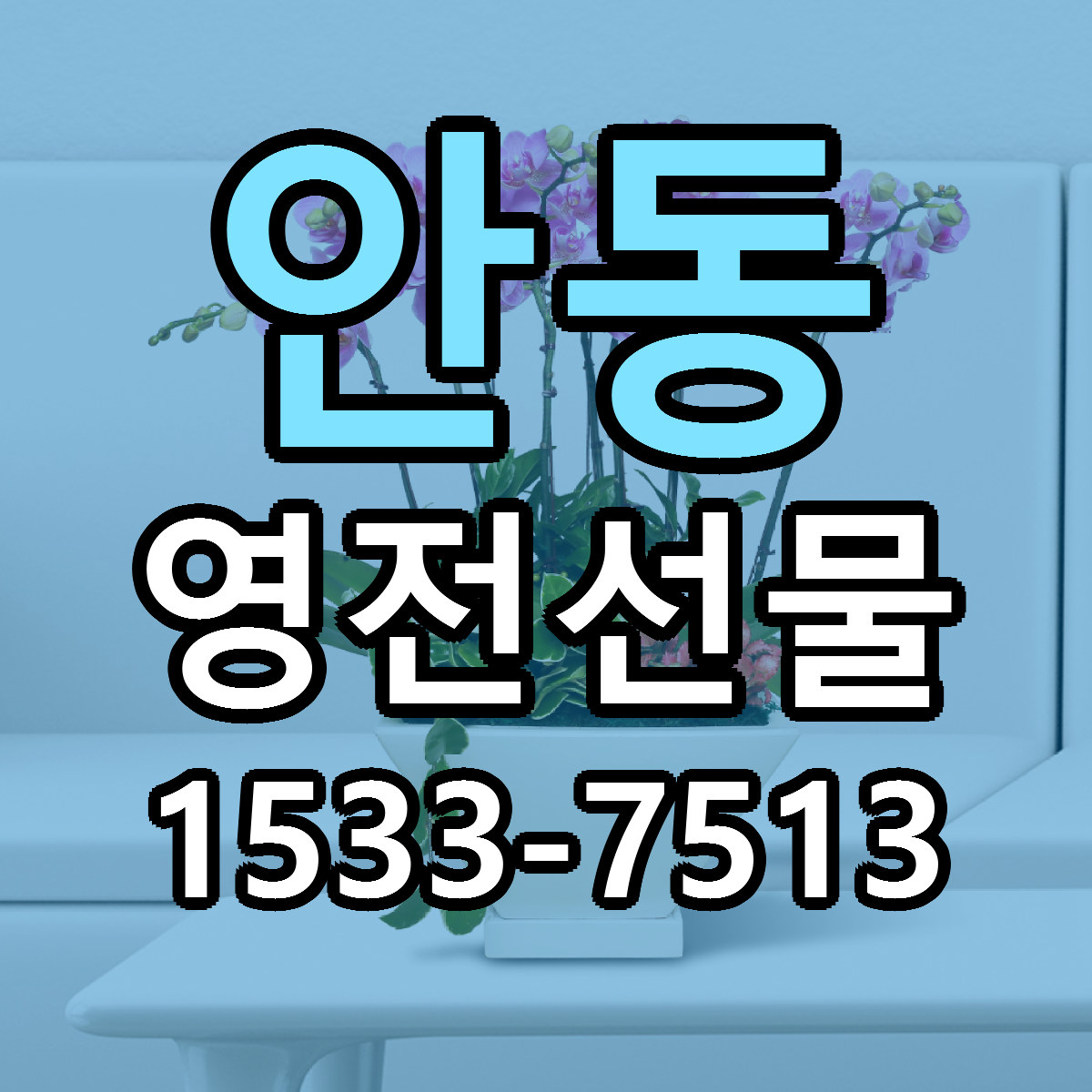 안동 영전선물 싼곳 당일배송 빠른배송 추천