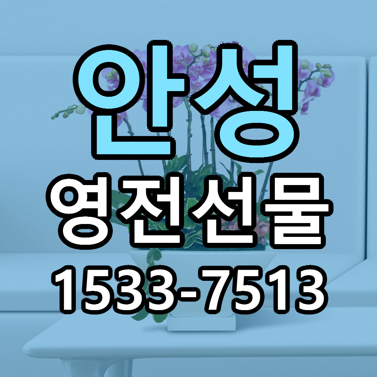 안성 영전선물 당일배송 리본문구 싼곳 찾기