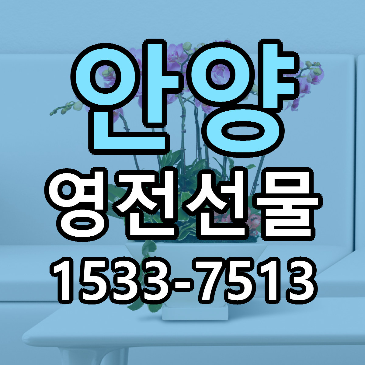 안양 영전선물 가격 착한 싼곳 당일배송 안내