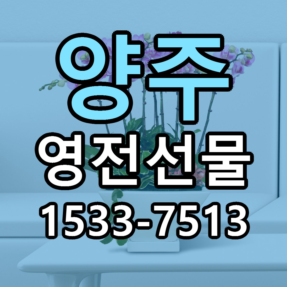 양주 영전선물 당일배송 근처꽃집 싼곳 비교