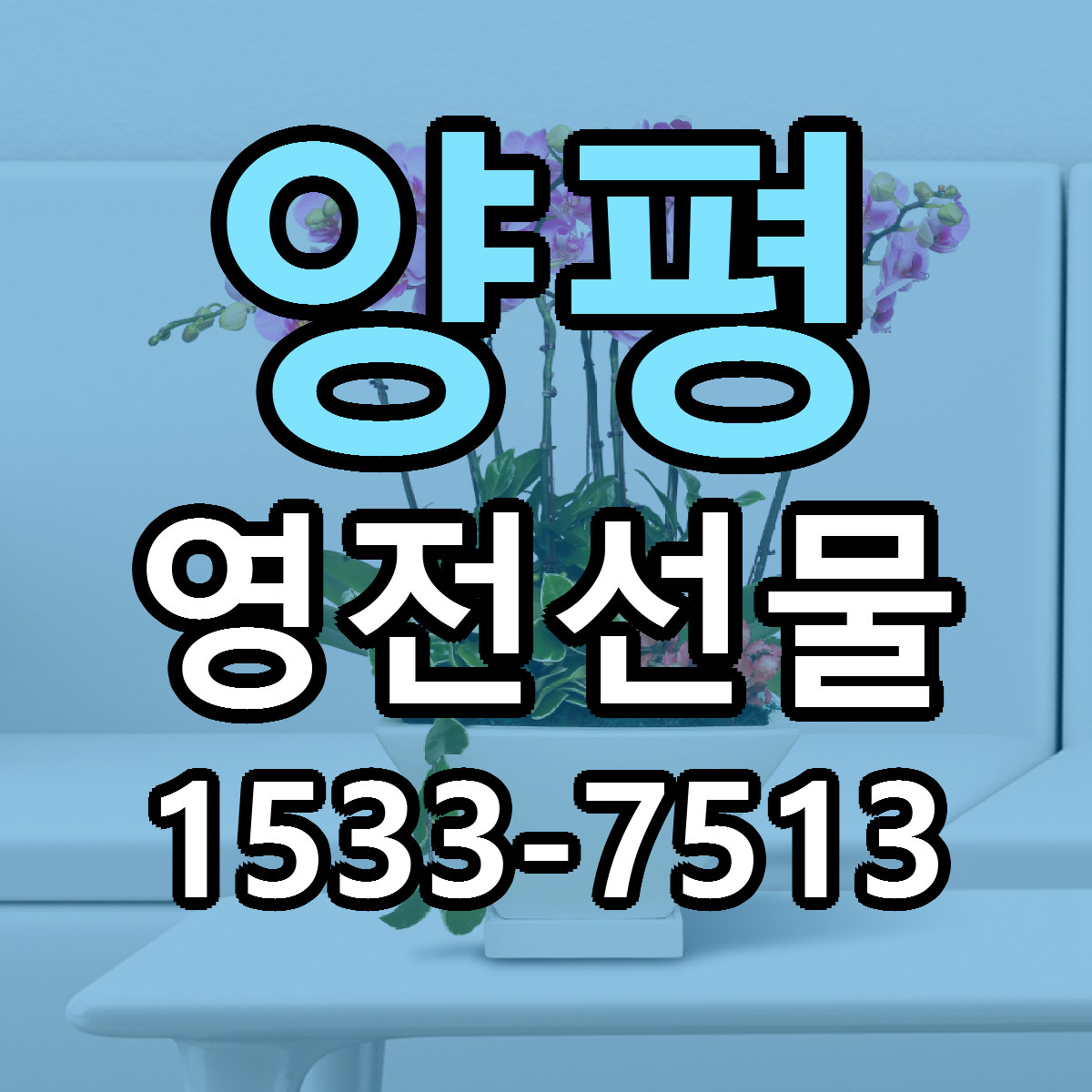 양평 영전선물 빠른배송 저렴한곳 가격 정리