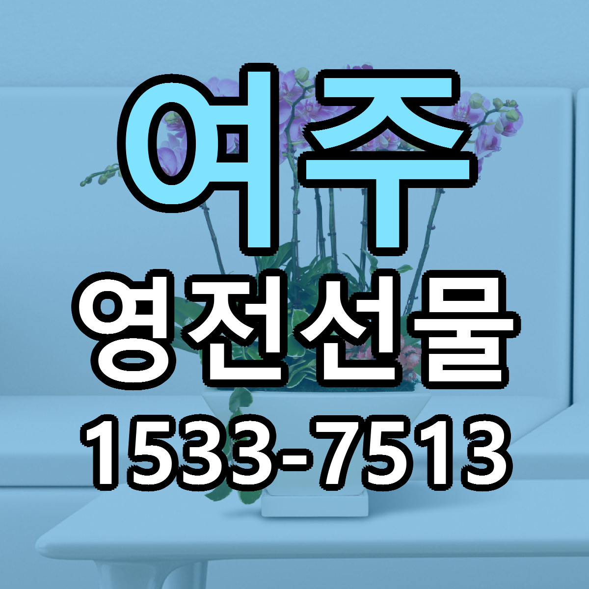 여주 영전선물 빠른배송 근처꽃집 가격 비교