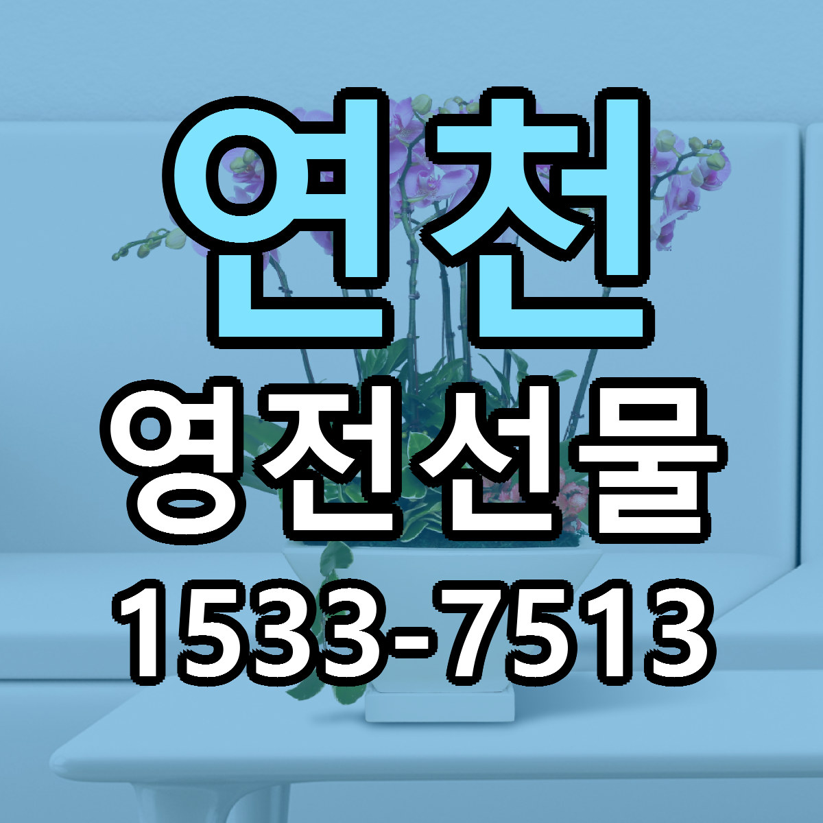 연천 영전선물 근처꽃집 빠른배송 가격 문의