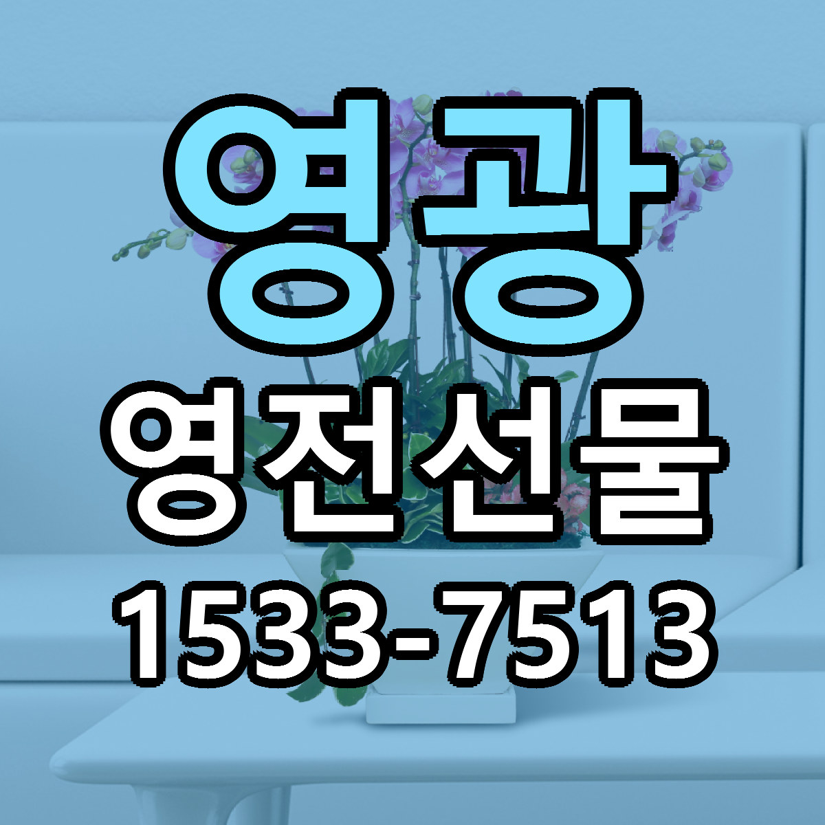 영광 영전선물 빠른배송 가격 저렴한곳 찾기