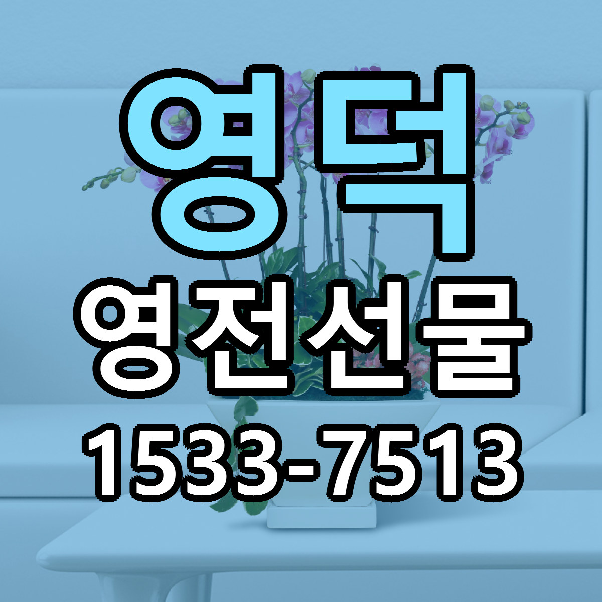 영덕 영전선물 리본문구 서비스 저렴한곳 빠른배송
