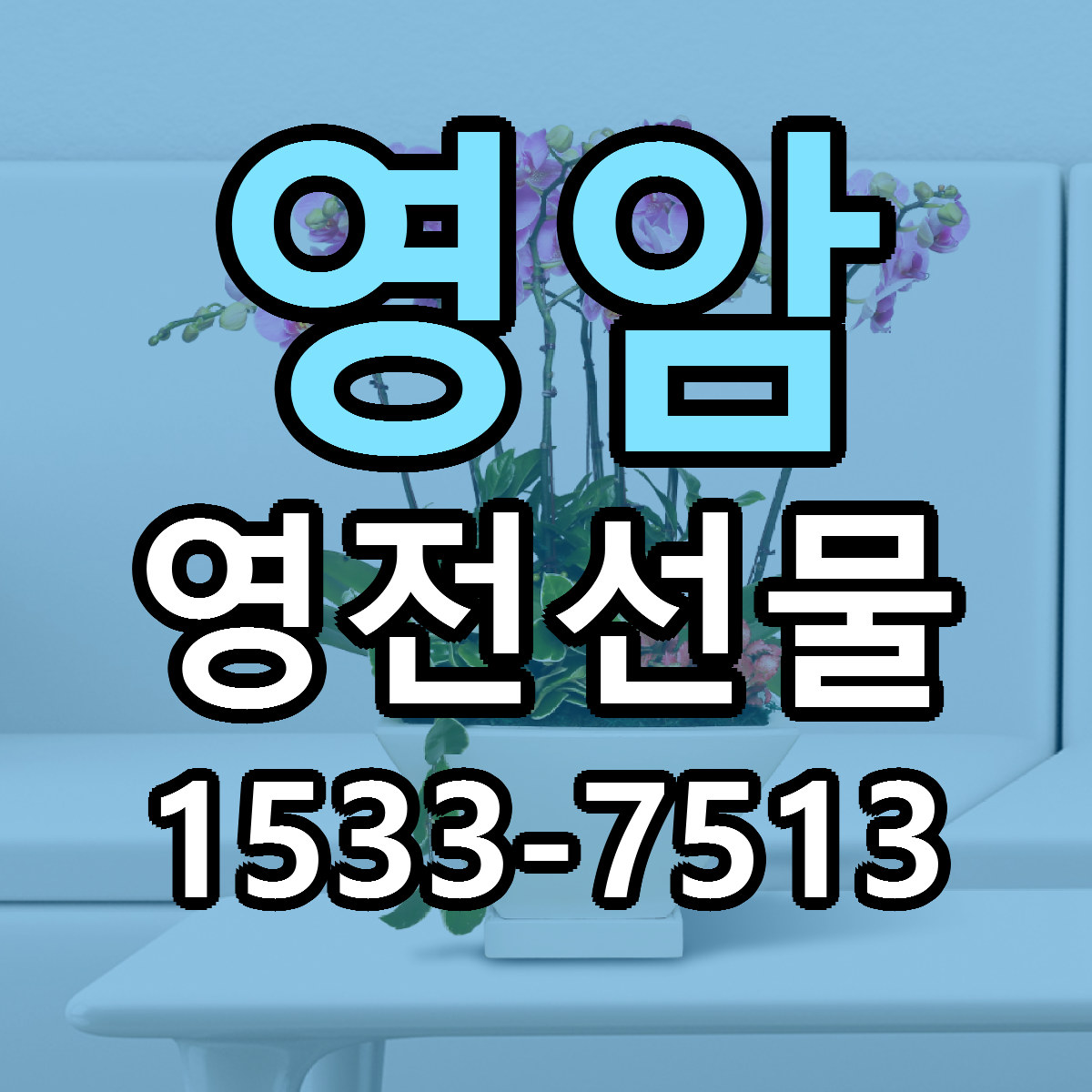 영암 영전선물 당일배송 근처꽃집 싼곳 비교