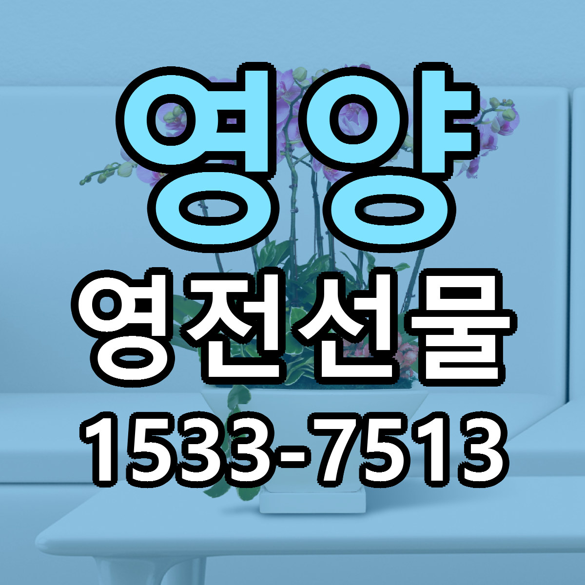 영양 영전선물 빠른배송 가격 저렴한곳 찾기