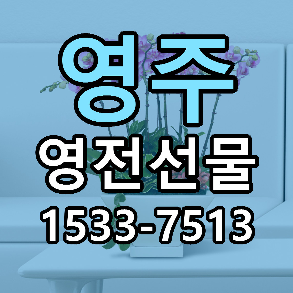 영주 영전선물 당일배송 리본문구 빠른배송 서비스