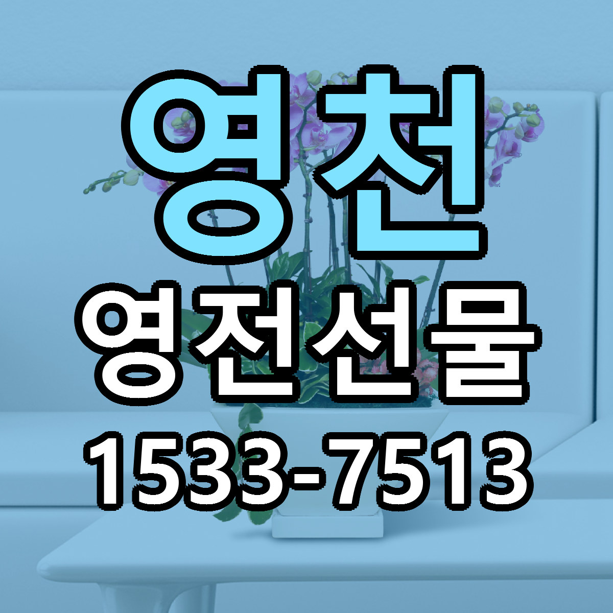 영천 영전선물 저렴한곳 당일배송 근처꽃집 추천