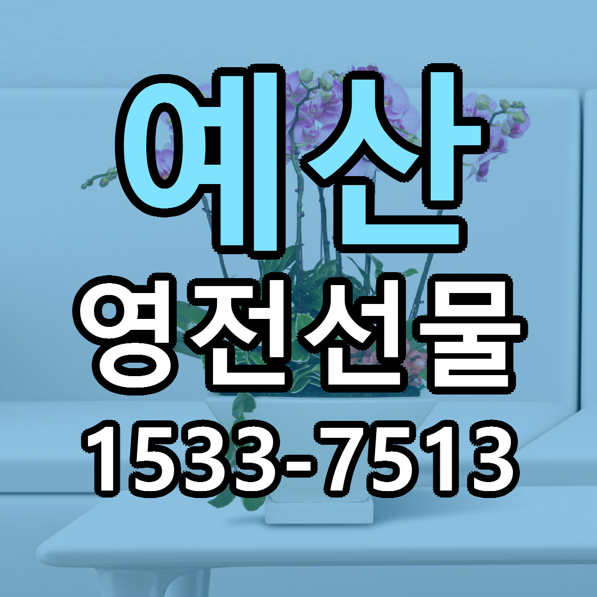 예산 영전선물 빠른배송 싼곳 가격 문의
