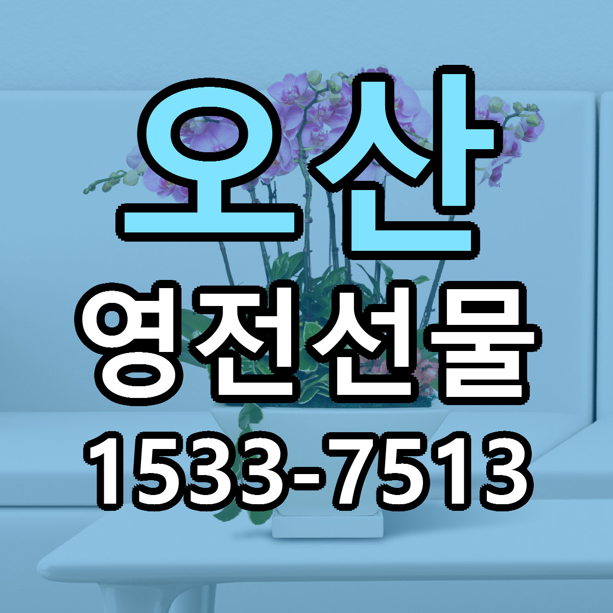 오산 영전선물 근처꽃집 빠른배송 가격 문의