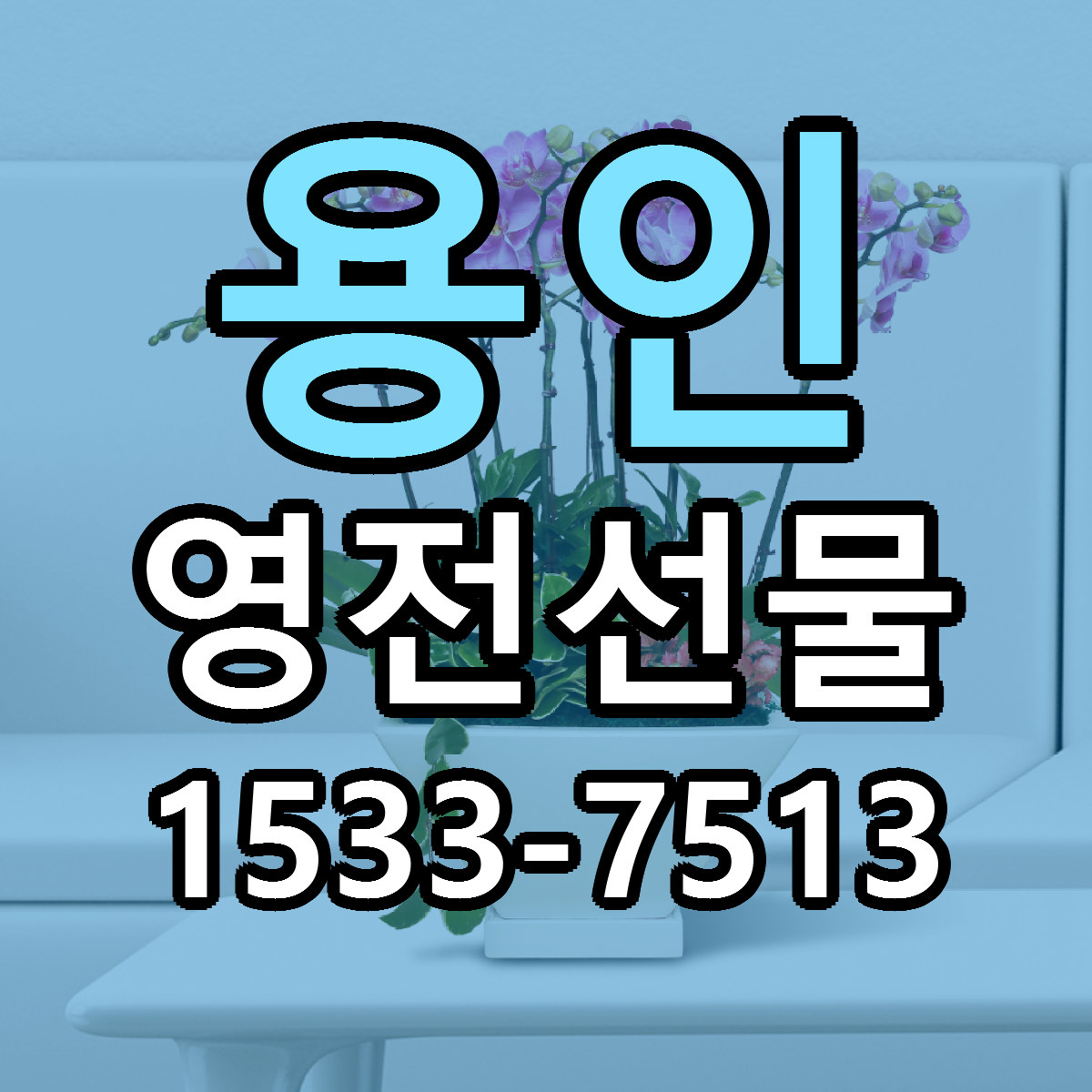 용인 영전선물 당일배송 빠른배송 싼곳 찾기