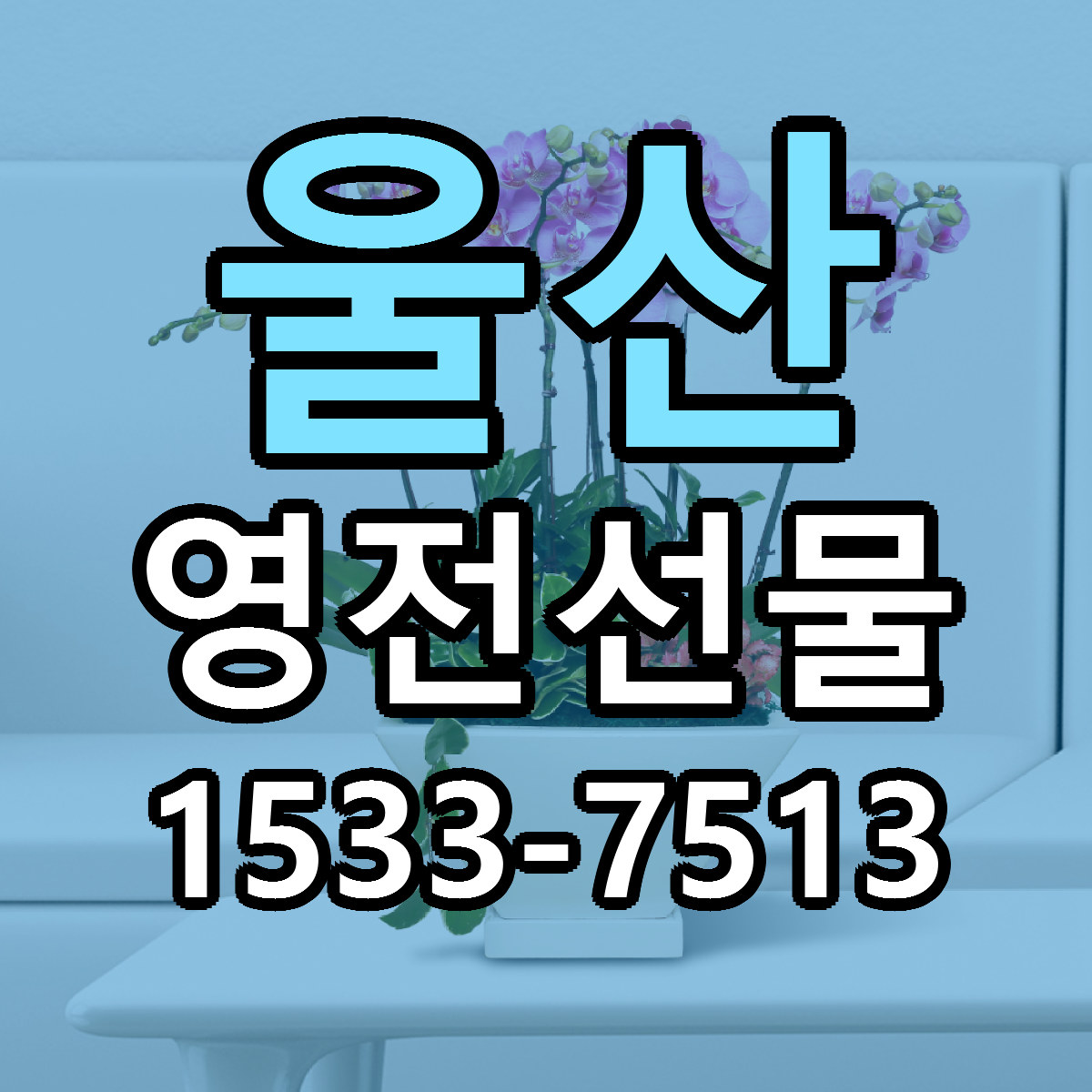 울산 영전선물 리본문구 서비스 저렴한곳 빠른배송