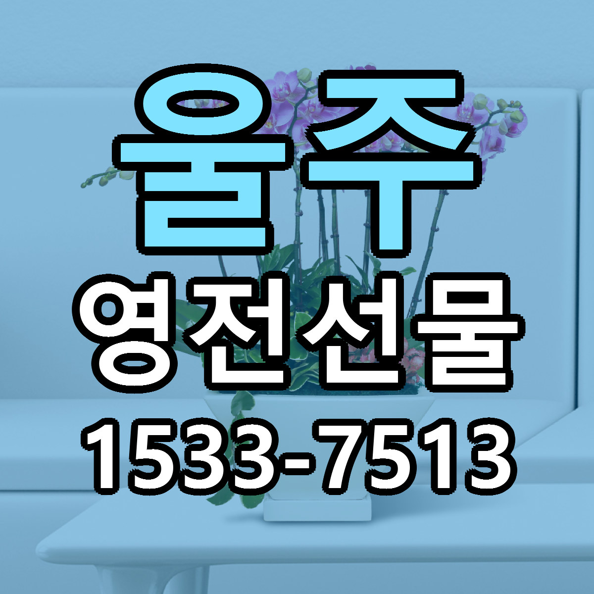 울주 영전선물 근처꽃집 싼곳 빠른배송 안내