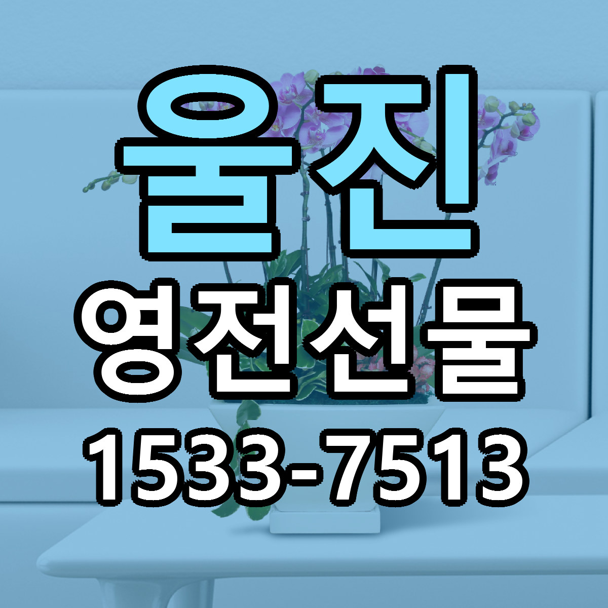 울진 영전선물 빠른배송 리본문구 가격 알뜰 비교