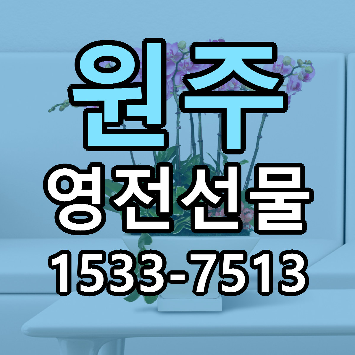 원주 영전선물 근처꽃집 빠른배송 가격 문의
