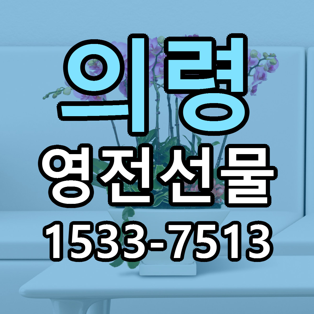 의령 영전선물 근처꽃집 당일배송 가격 안내
