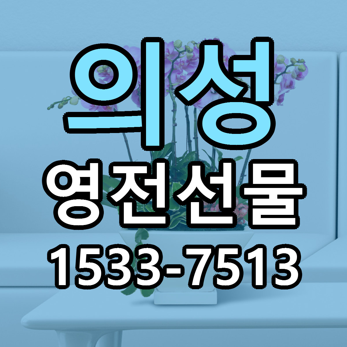 의성 영전선물 근처꽃집 당일배송 가격 안내