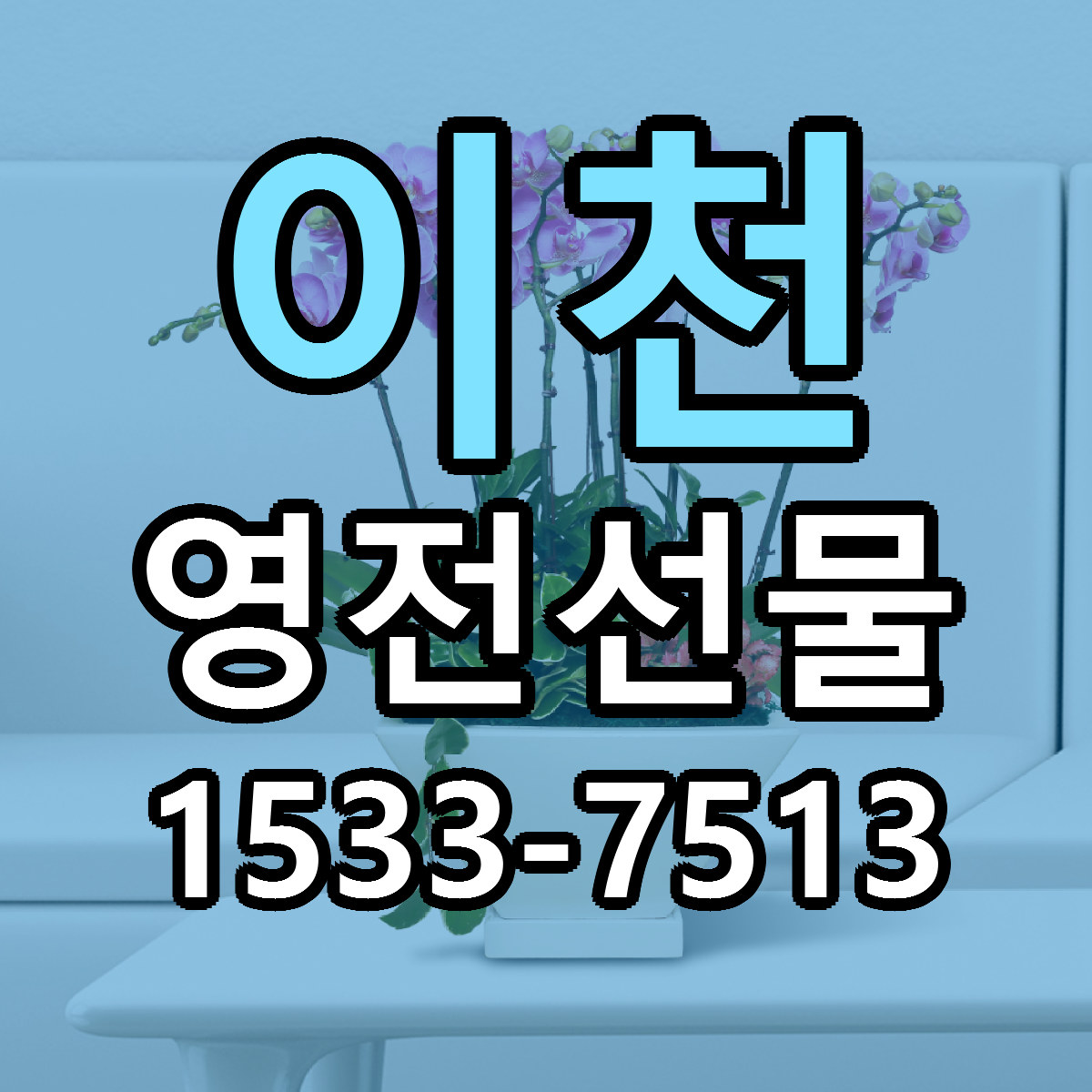 이천 영전선물 빠른배송 리본문구 가격 알뜰 비교