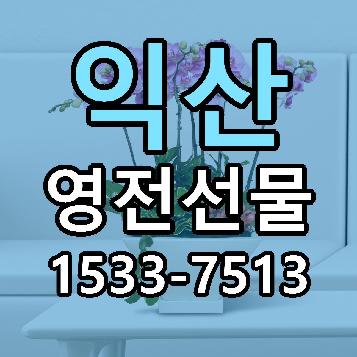 익산 영전선물 저렴한곳 당일배송 가격 만족