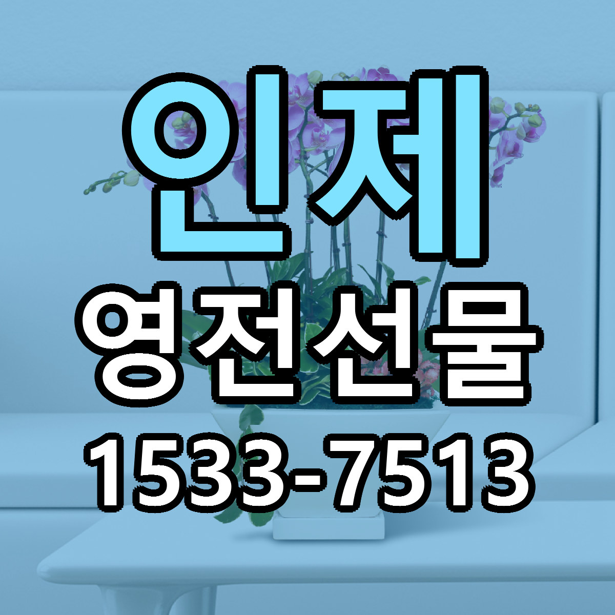 인제 영전선물 빠른배송 싼곳 가격 문의