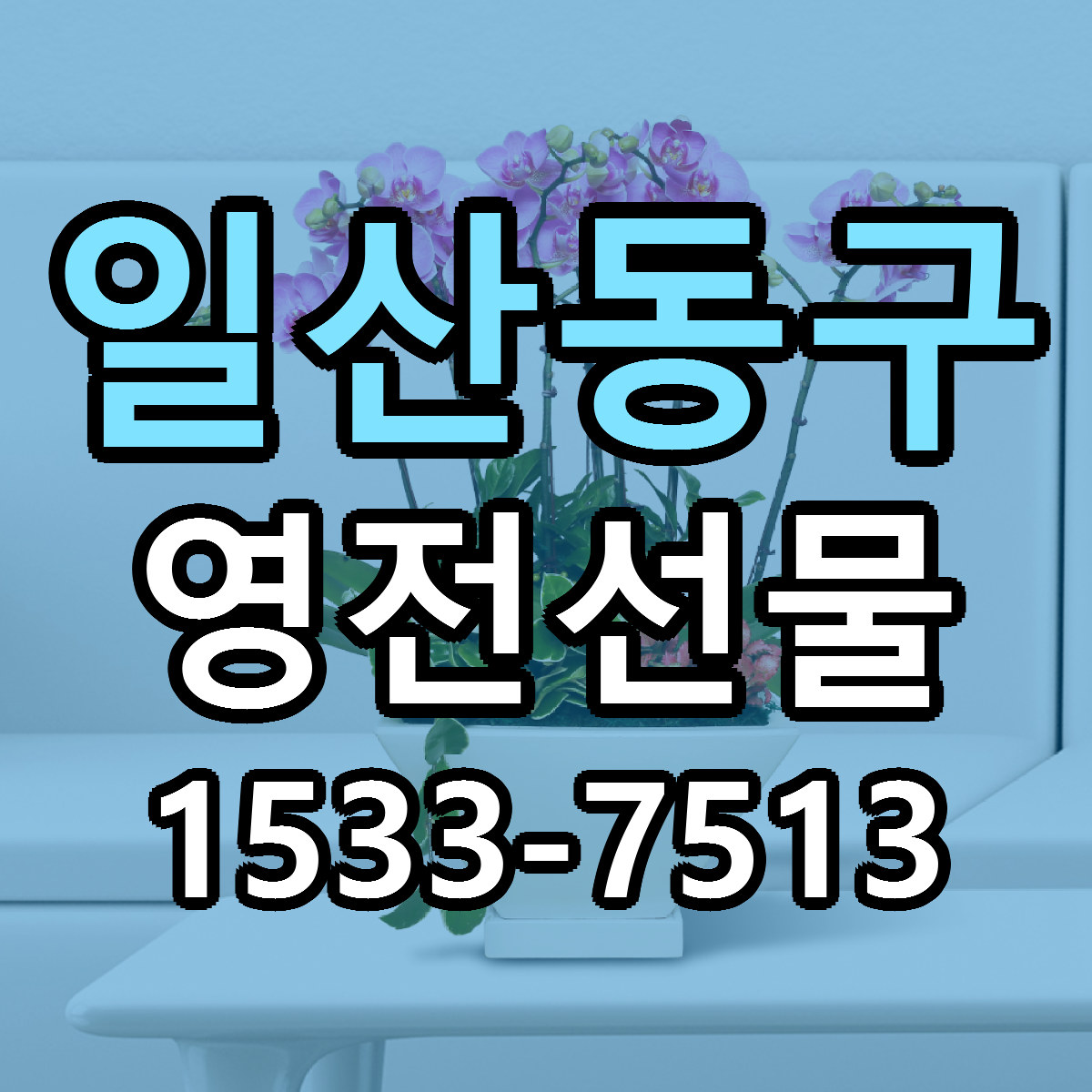 일산동구 영전선물 근처꽃집 당일배송 가격 안내