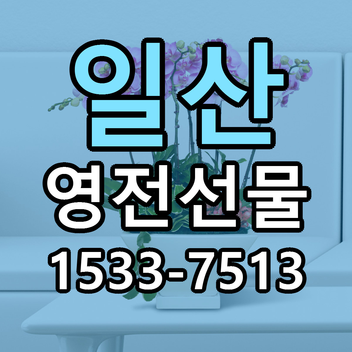 일산 영전선물 리본문구 서비스 저렴한곳 빠른배송