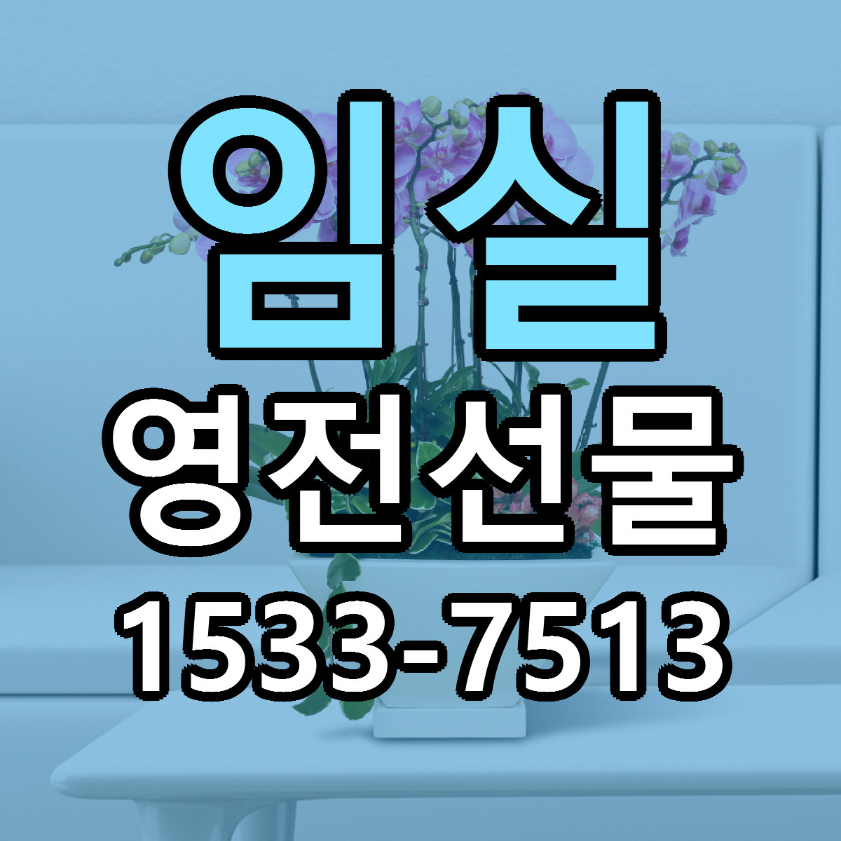 임실 영전선물 빠른배송 가격 저렴한곳 찾기