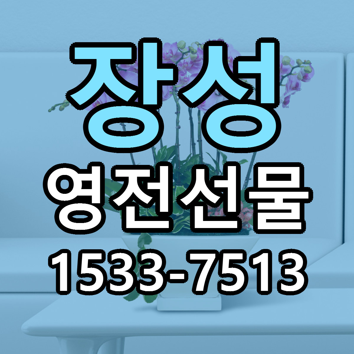 장성 영전선물 빠른배송 저렴한곳 가격 정리