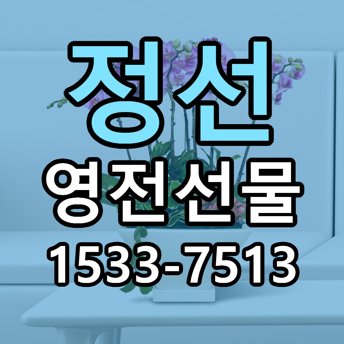 정선 영전선물 싼곳 당일배송 빠른배송 추천