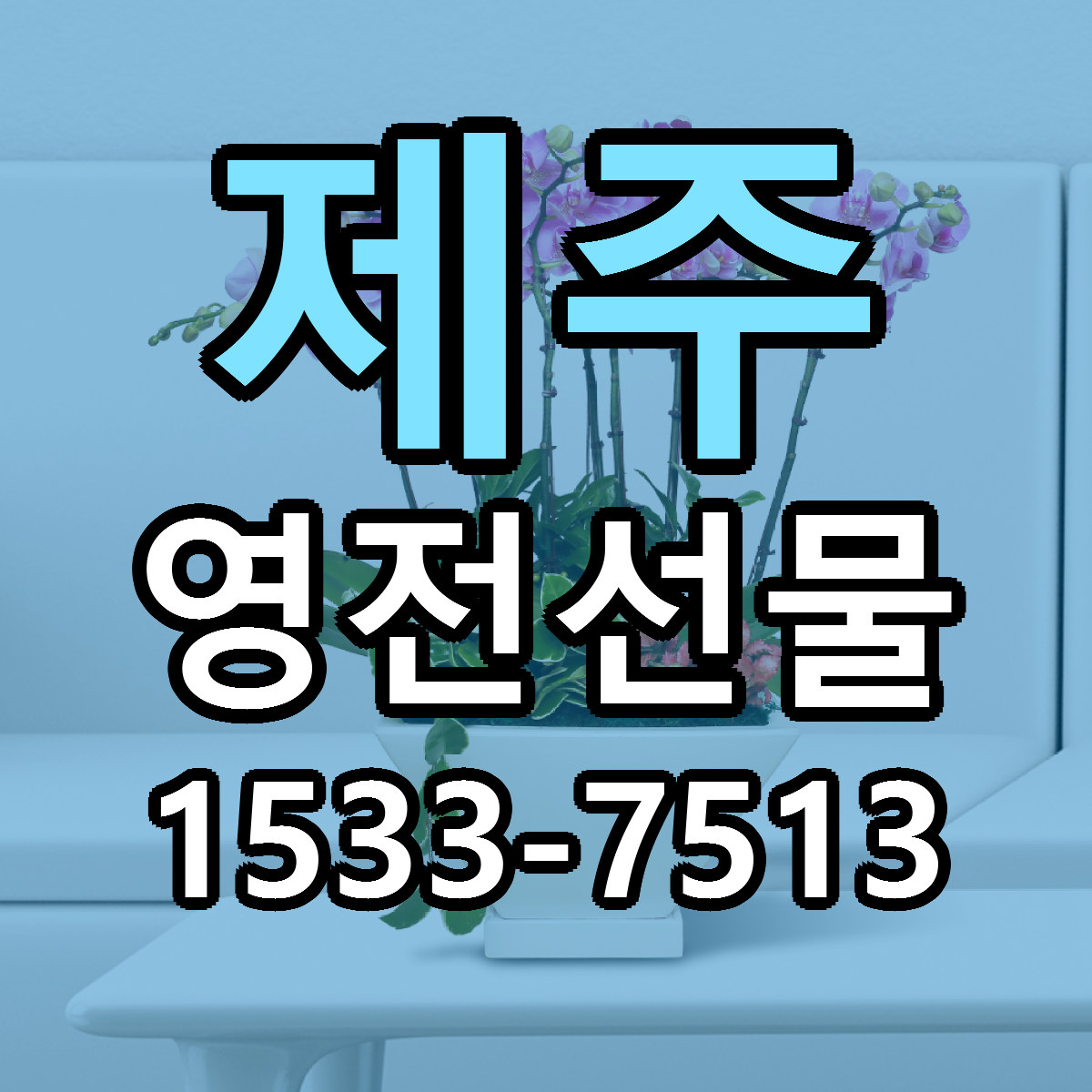 제주 영전선물 근처꽃집 빠른배송 가격 문의
