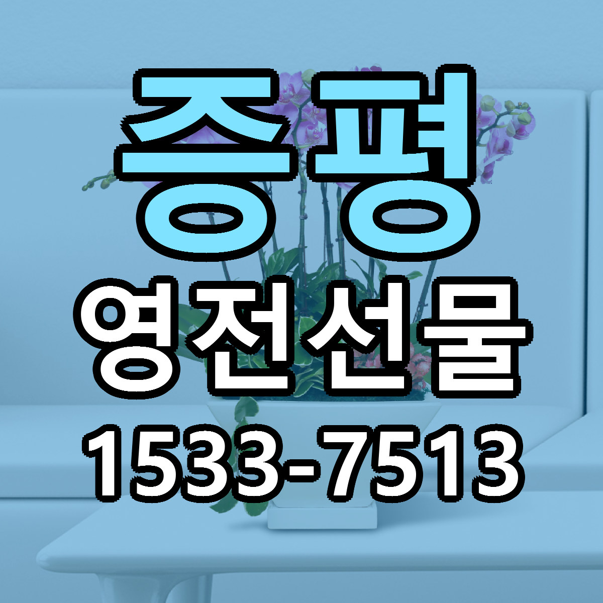 증평 영전선물 빠른배송 리본문구 가격 알뜰 비교