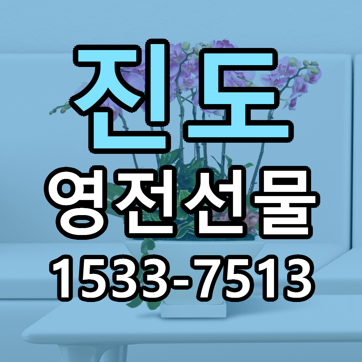 진도 영전선물 근처꽃집 빠른배송 가격 문의