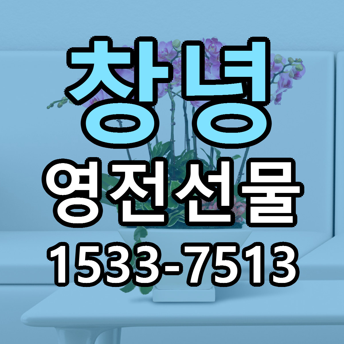 창녕 영전선물 근처꽃집 싼곳 빠른배송 안내