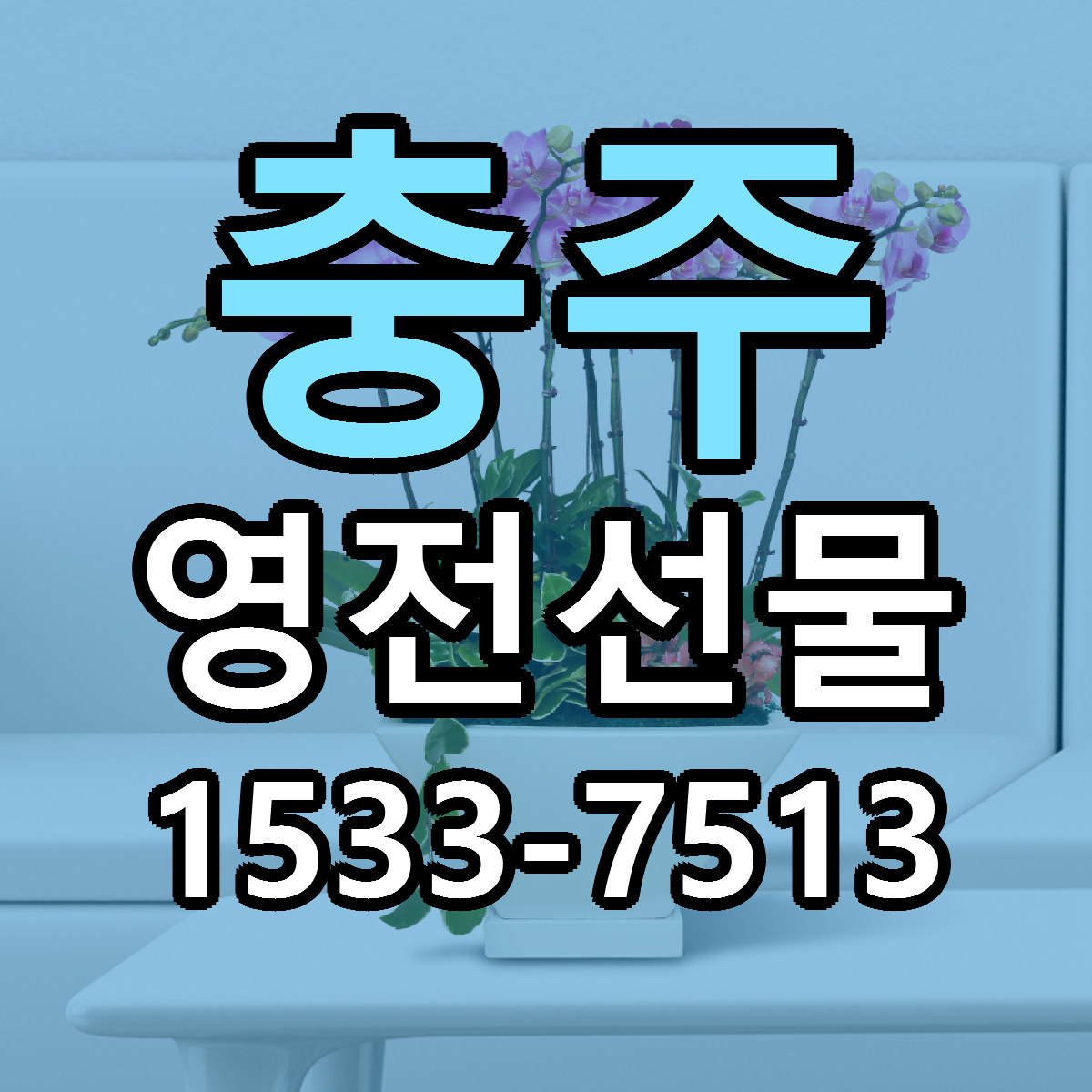 충주 영전선물 당일배송 리본문구 싼곳 찾기