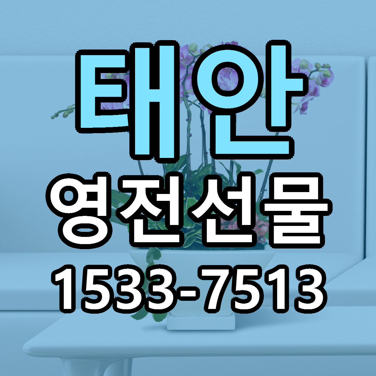 태안 영전선물 빠른배송 저렴한곳 가격 정리