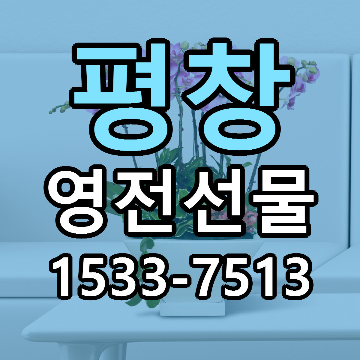 평창 영전선물 근처꽃집 싼곳 빠른배송 안내