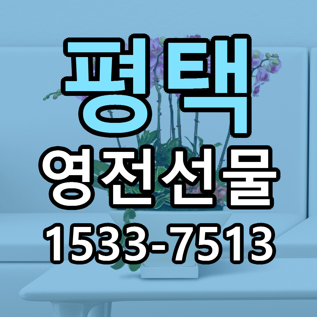 평택 영전선물 근처꽃집 가격 저렴한곳 안내