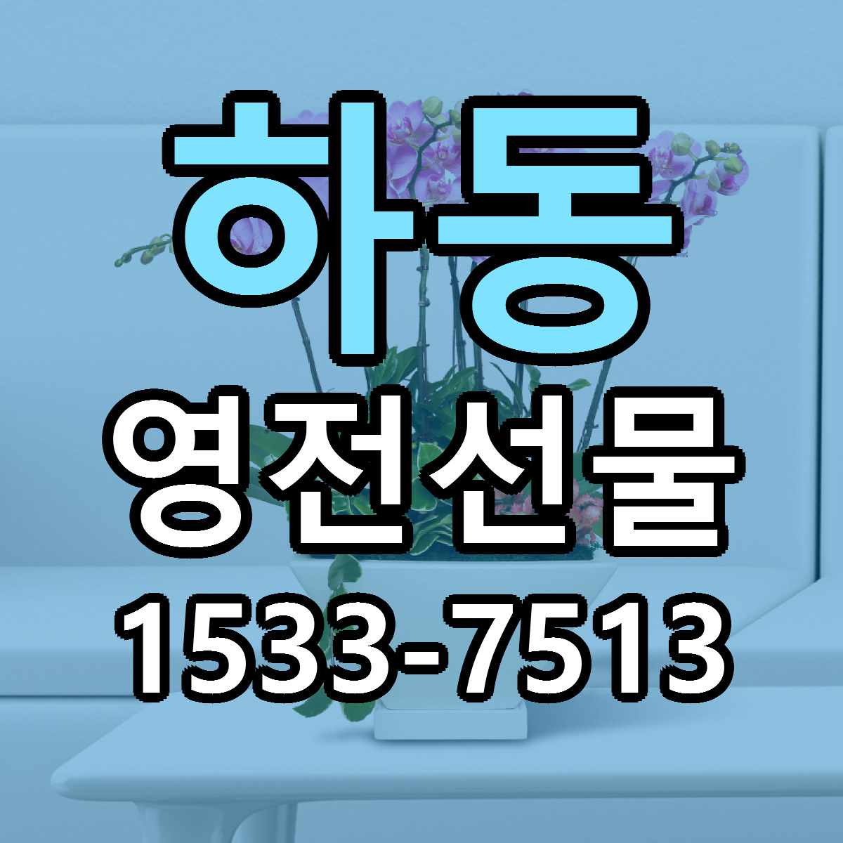 하동 영전선물 근처꽃집 당일배송 싼곳 추천