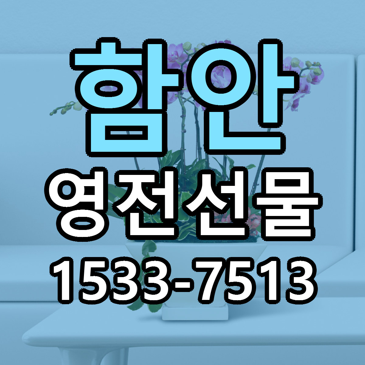 함안 영전선물 빠른배송 싼곳 가격 문의