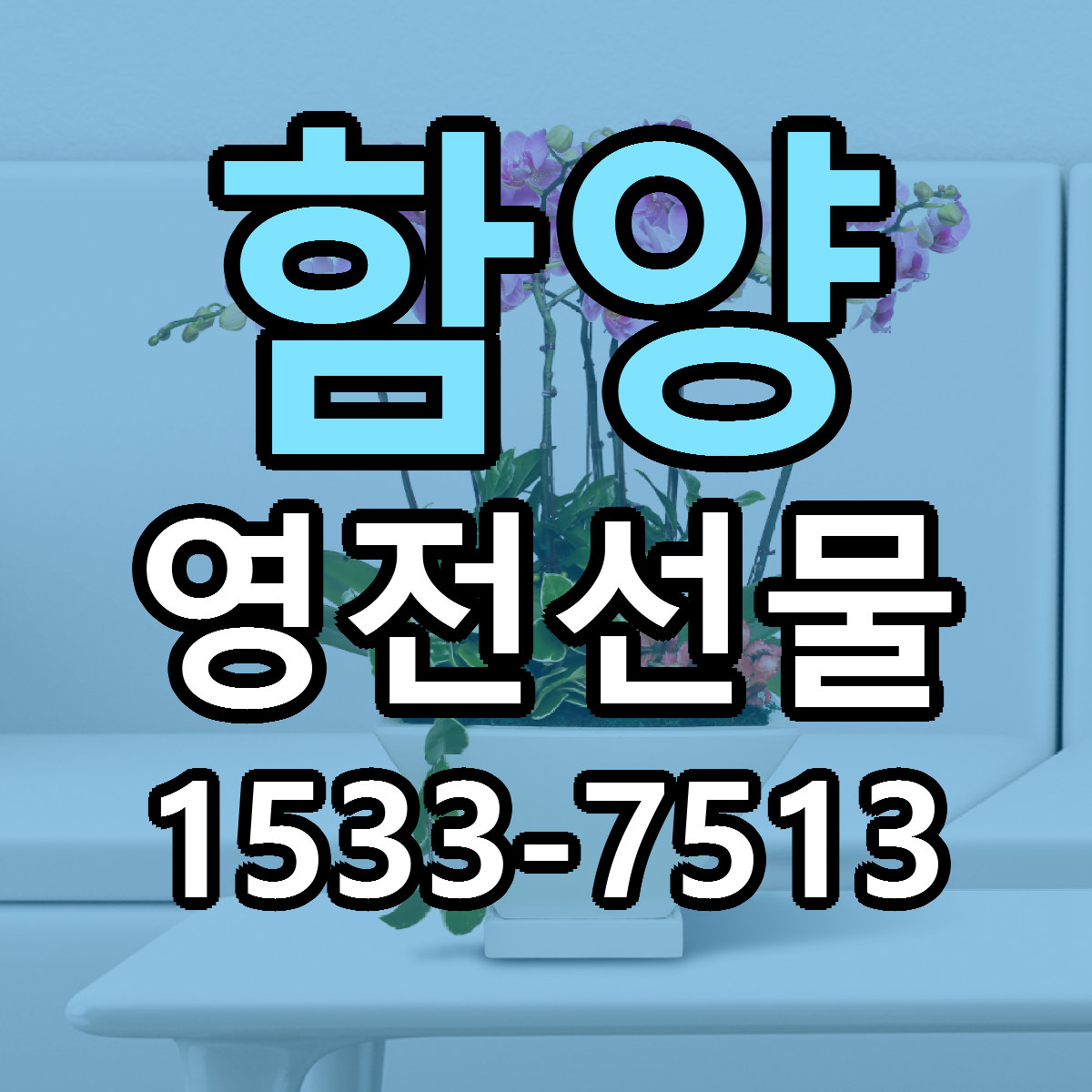 함양 영전선물 당일배송 리본문구 싼곳 찾기