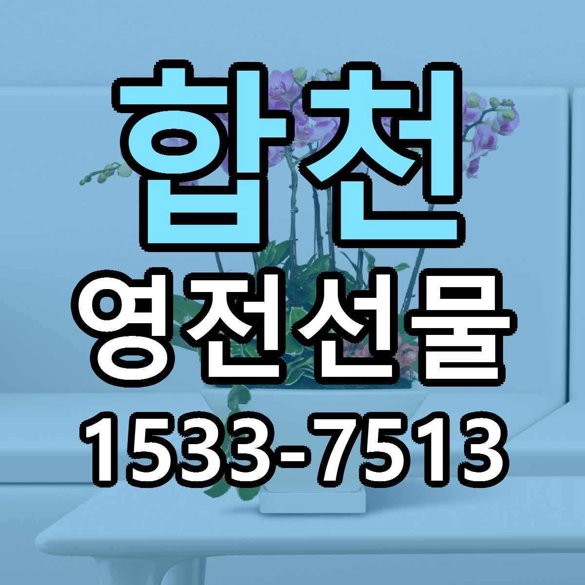 합천 영전선물 저렴한곳 당일배송 가격 만족