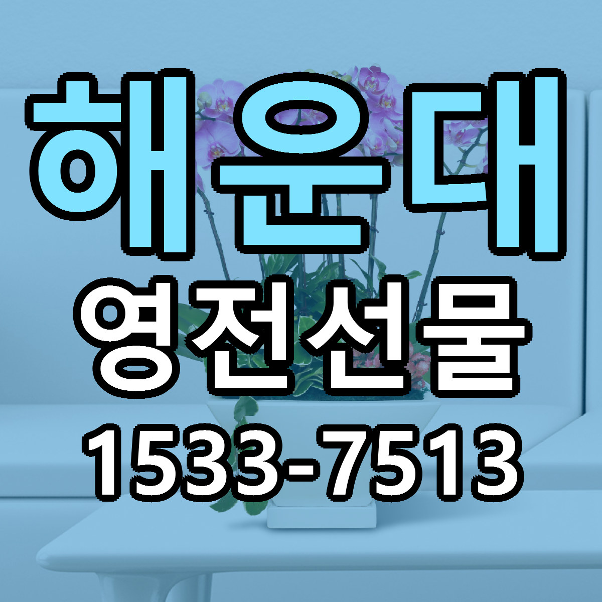 해운대 영전선물 빠른배송 싼곳 가격 문의